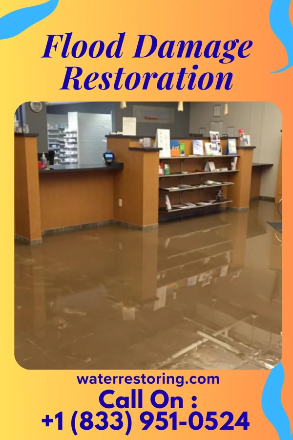 Flood Damage Restoration in Plainville, GA
